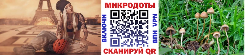 Галлюциногенные грибы ЛСД  дарнет шоп  Барабинск 